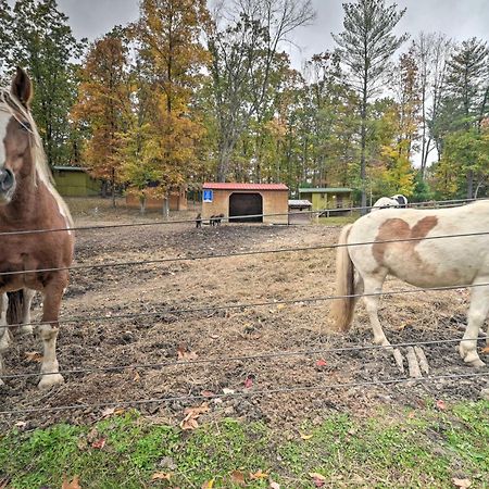 Rustic Clint Eastwood Ranch Apt By Raystown Lake Huntingdon Bagian luar foto