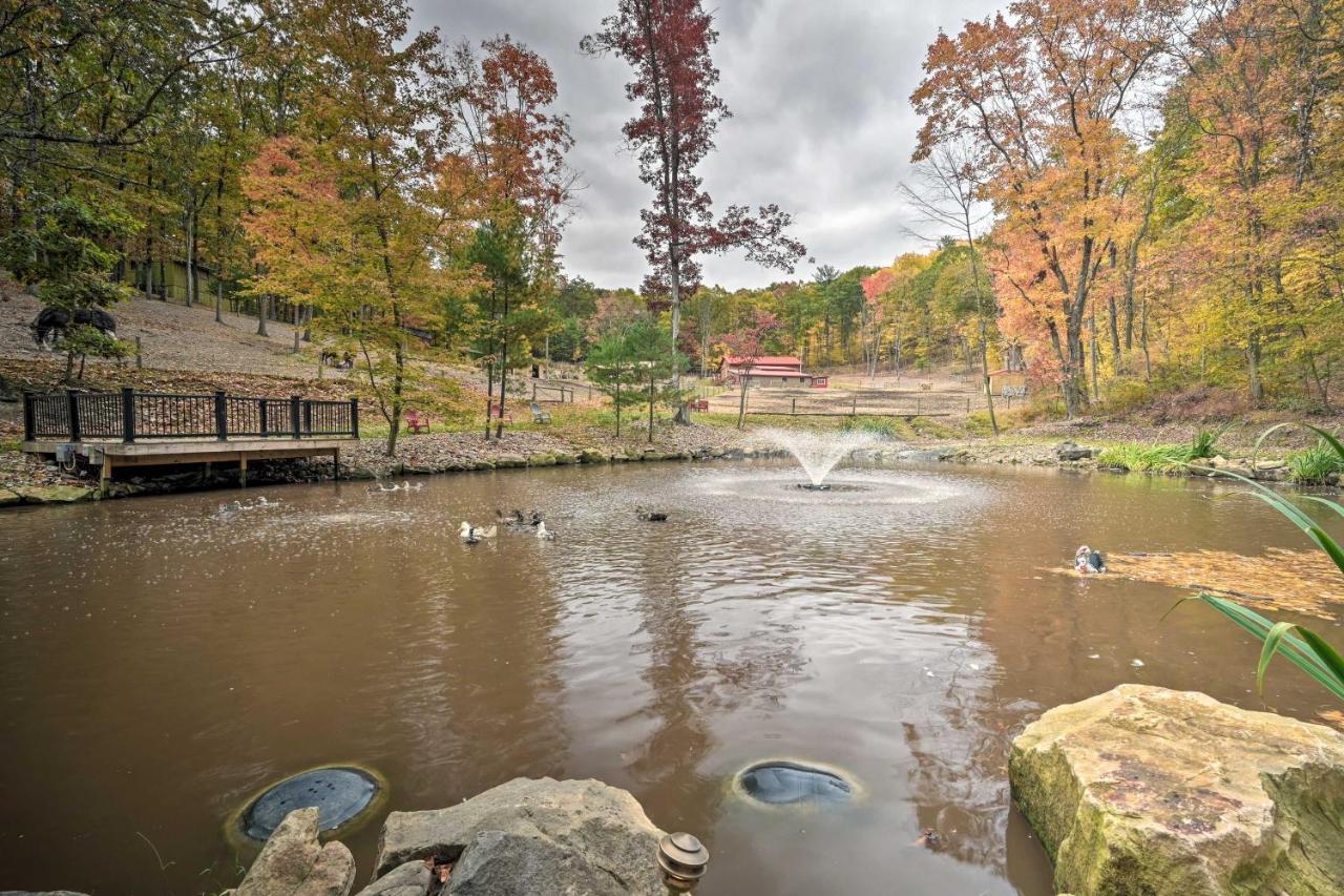 Rustic Clint Eastwood Ranch Apt By Raystown Lake Huntingdon Bagian luar foto