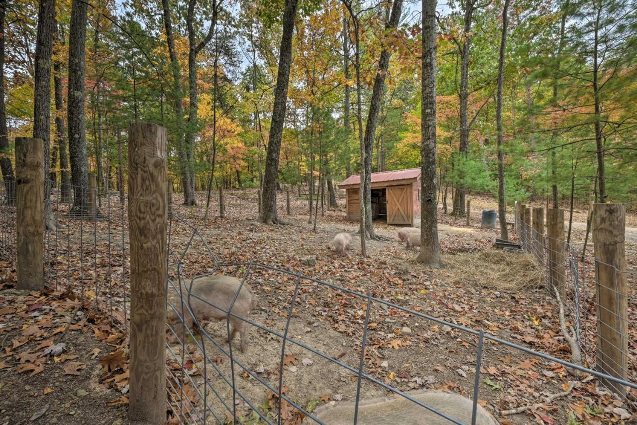 Rustic Clint Eastwood Ranch Apt By Raystown Lake Huntingdon Bagian luar foto